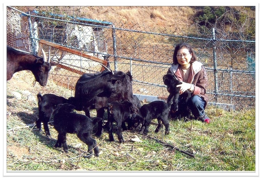 소풍흑염소 이미지