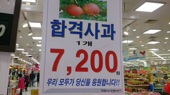 창조사과 | 인스티즈