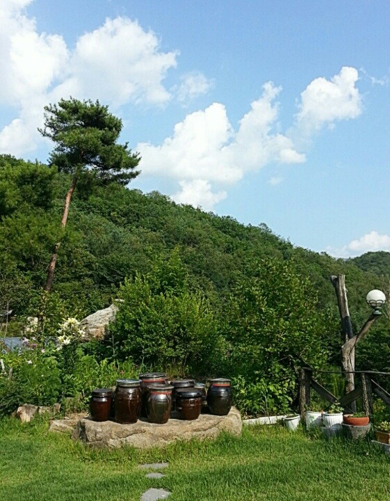 꽃잎한잔 이미지