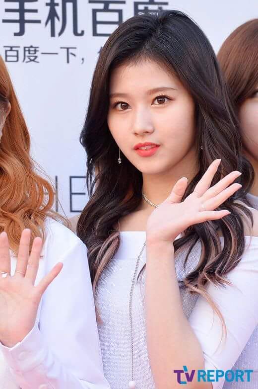 사나 시나 | 인스티즈