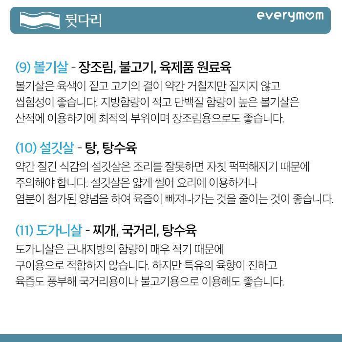 돼지고기의 모든 것 | 인스티즈