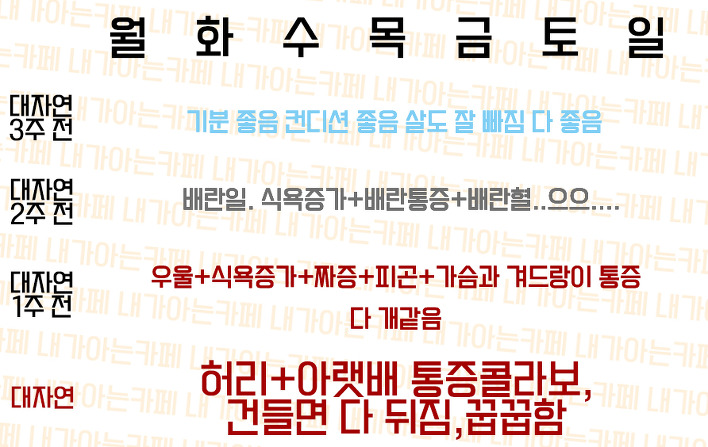 여자의 한 달 | 인스티즈