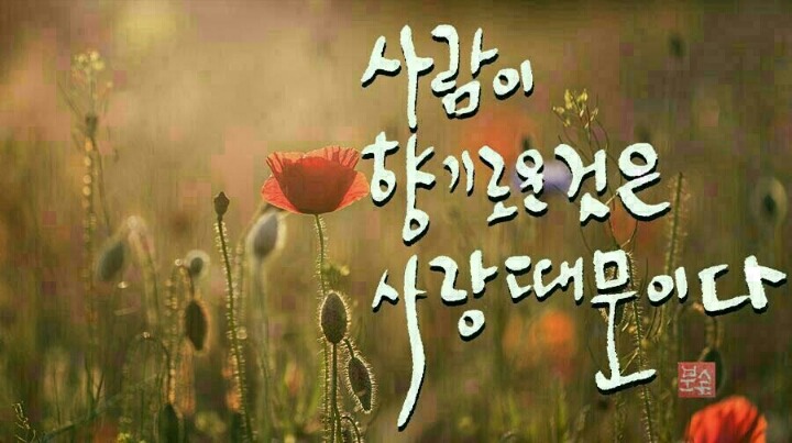 난향화장품 이미지