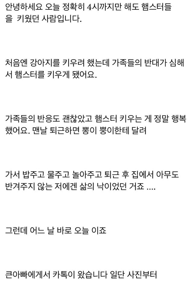 큰아버지는 햄스터 연쇄살인마입니다 | 인스티즈
