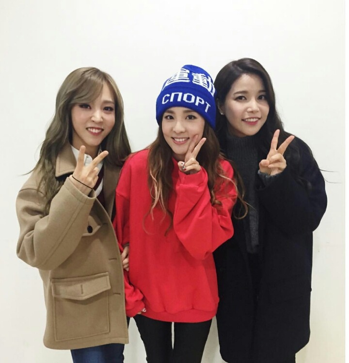 별콩 이미지