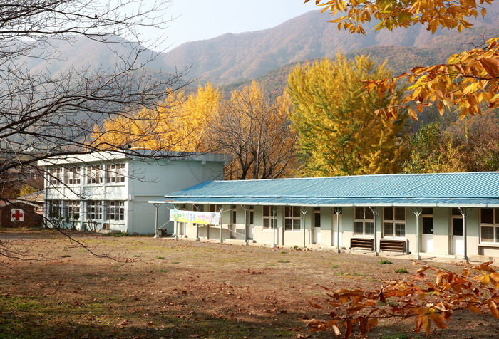 성주오토캠핑장 이미지