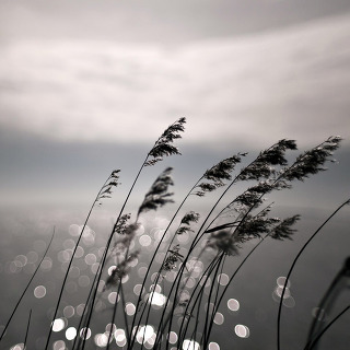 나 아닌 아침과 오후를 사랑해도 좋아 | 인스티즈