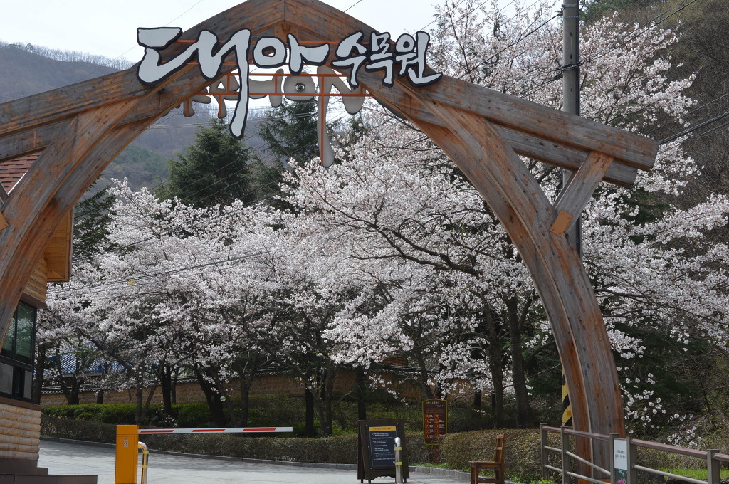(주) 대아 이미지