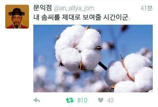 트위터의 만우절 전야제 ㅋㅋㅋㅋ | 인스티즈