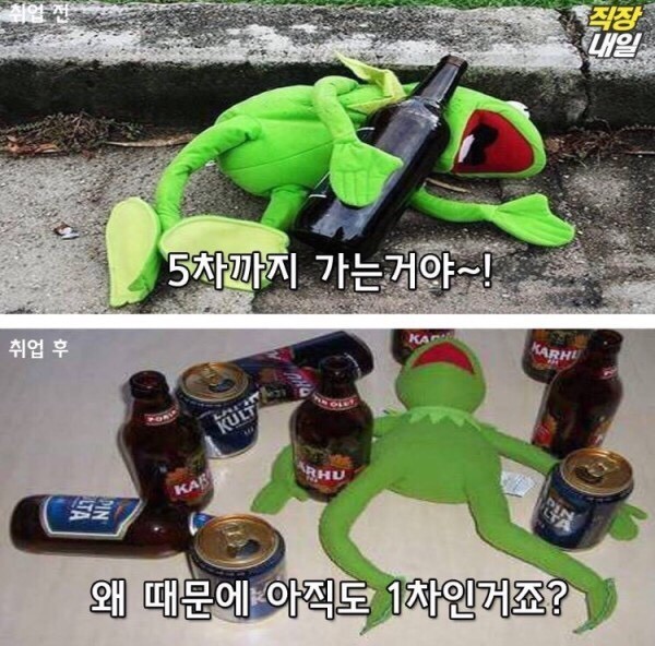 월요병걸린 쌍커들을 위한 취직전 vs 취직후 (개구리 귀여움 주의)-이미지 추가 | 인스티즈