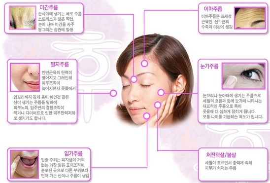 정안테라피 이미지