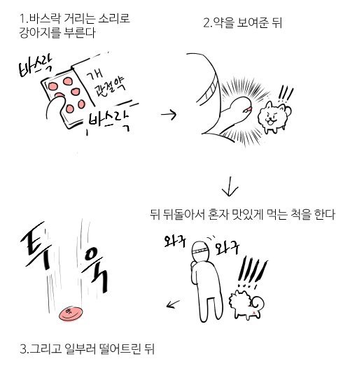 멍멍이 약먹이는 방법 . jpg | 인스티즈