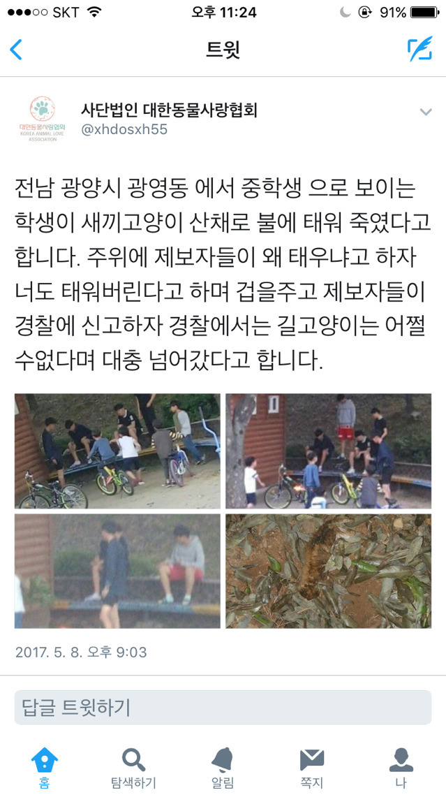 고양이 산채로 불태워 죽인 중딩들 | 인스티즈