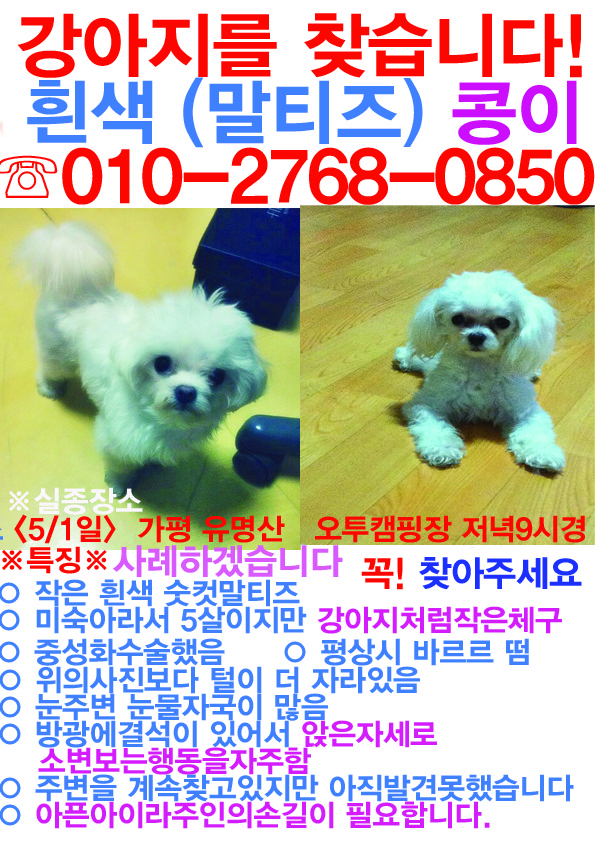 콩이 이미지