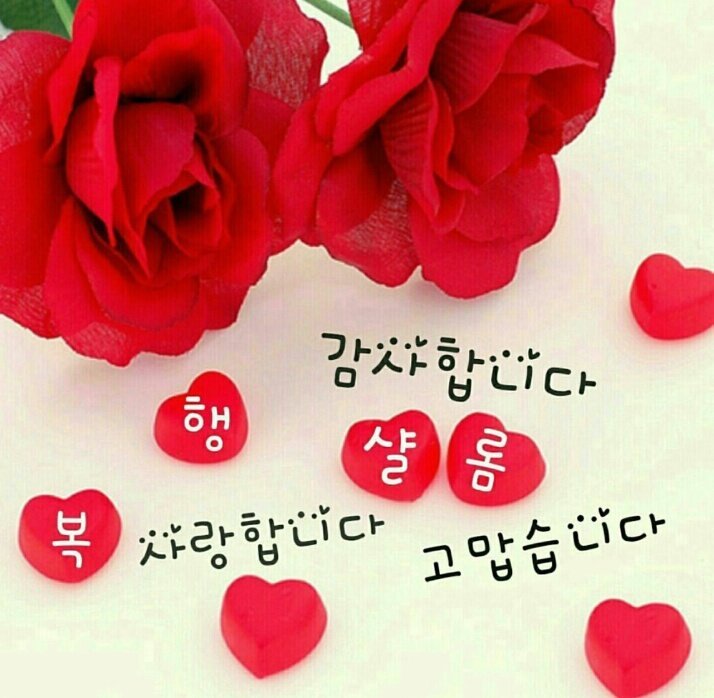 행복한아침 이미지