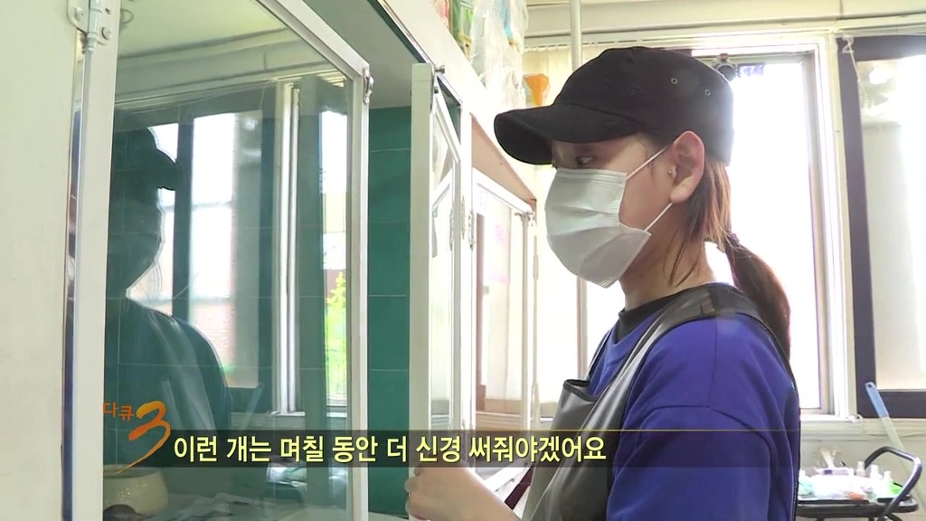 다큐 3일 보면서 안타까웠던 강아지..ㅠㅠ | 인스티즈
