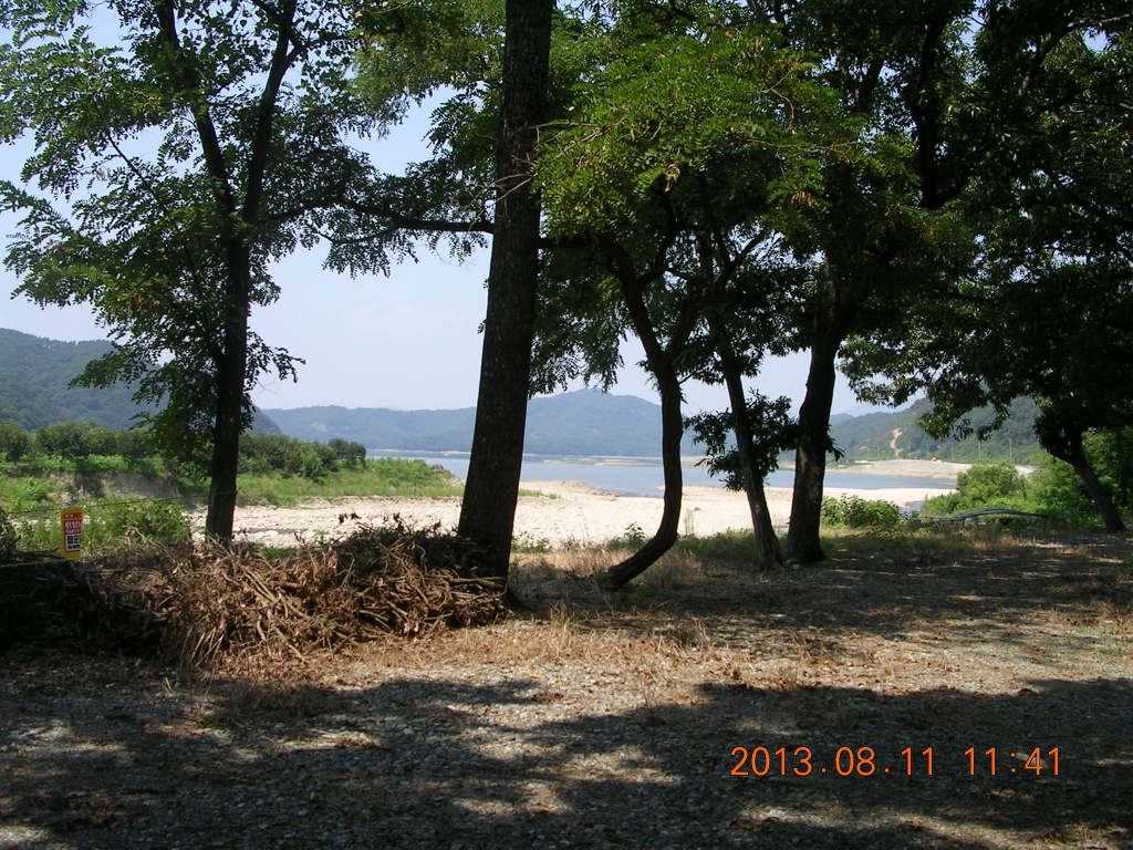 장성중학교 이미지