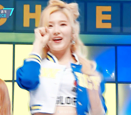 최고의 샤샤샤는? | 인스티즈