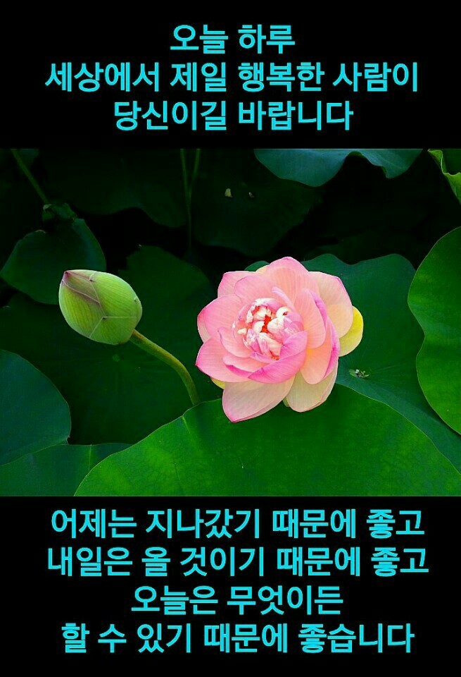 즐거운하루 이미지
