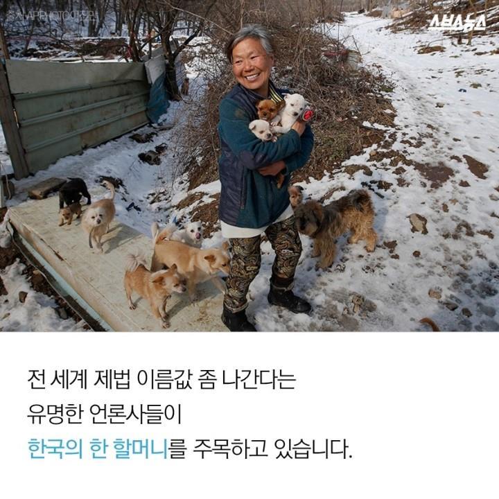  개 먹는 나라의 사연? | 인스티즈