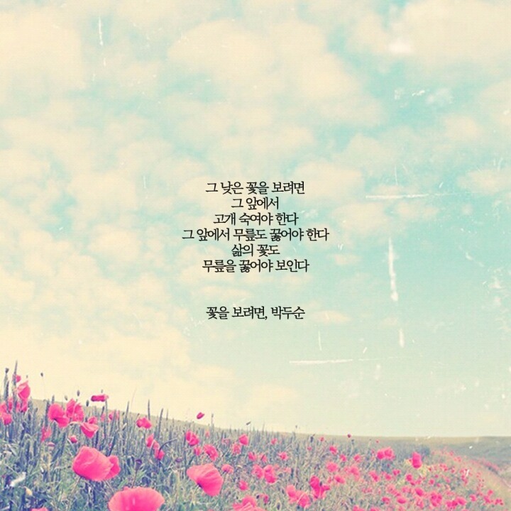  네 안에서 부는 바람에 너는 너무 오래 흔들린다 | 인스티즈