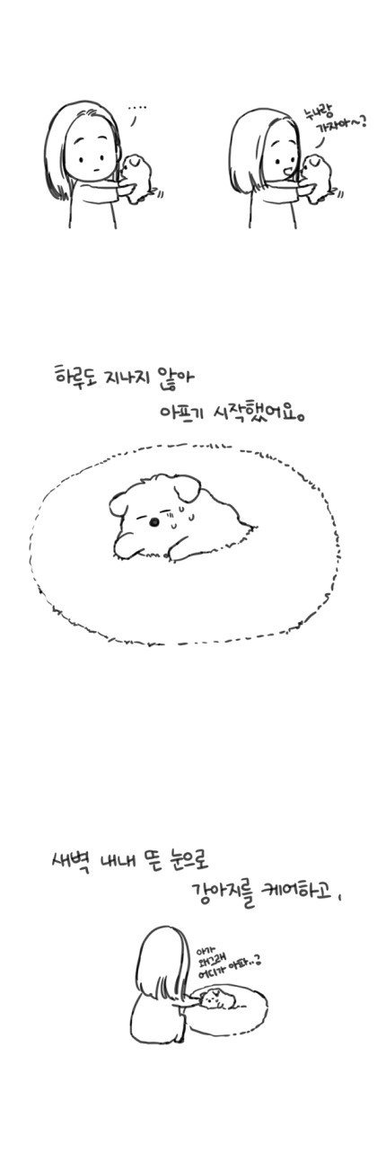 강아지 분양 사기 문제 (다음 웹툰 대새녀 그린 여은 작가) | 인스티즈