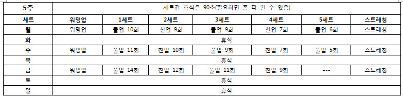 턱걸이 초보도 50개 올리는 프로그램 | 인스티즈