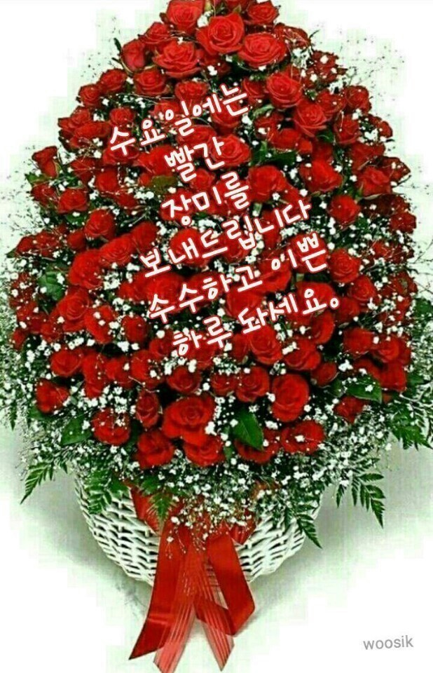 맨날맨날 이미지