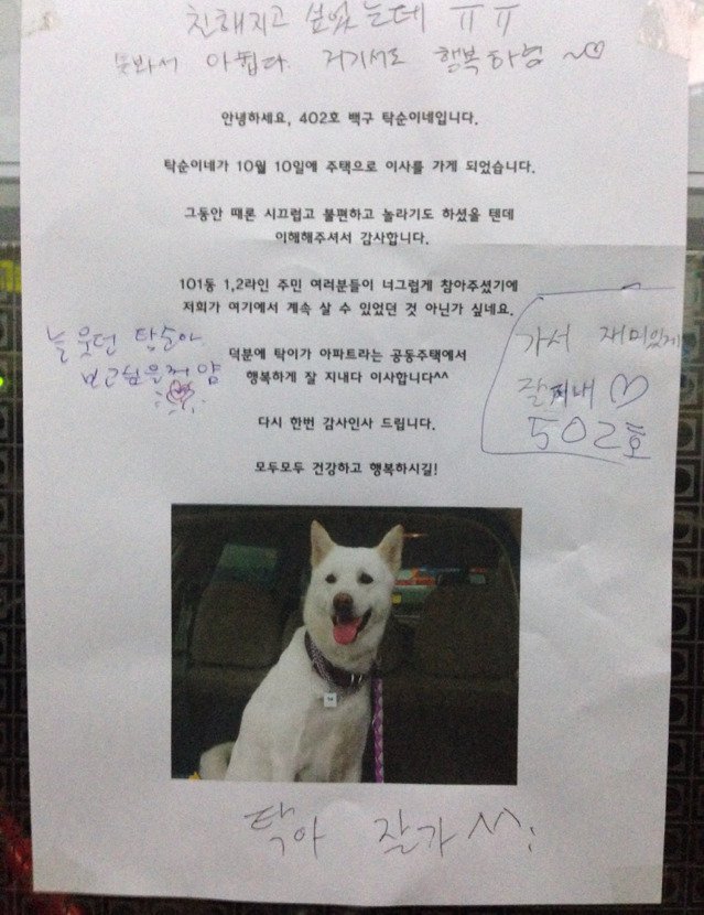 아파트에 살던 강아지가 이사가던 날.jpg | 인스티즈