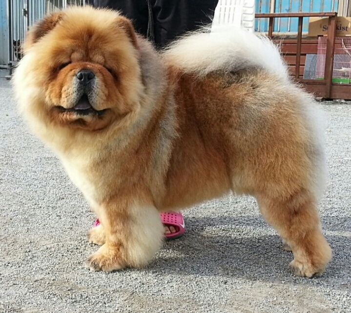 소망클린 이미지