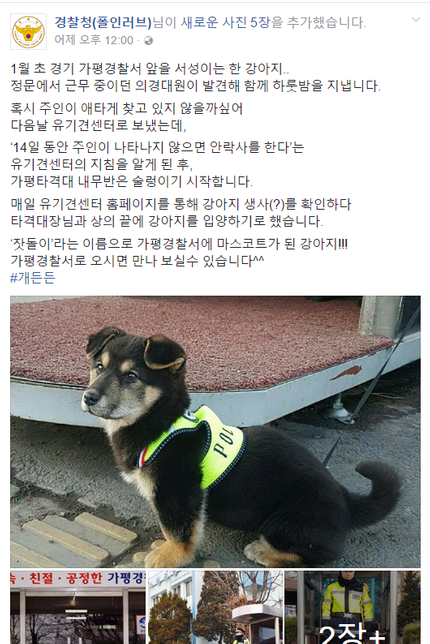 사진 속 강아지가 경찰서 마스코트가 된 사연 | 인스티즈