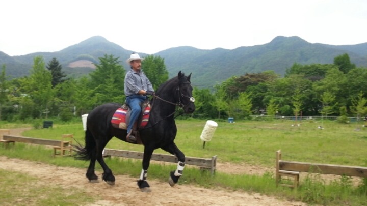 프리지안 이미지