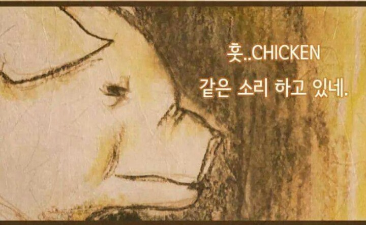 야돼지다 이미지