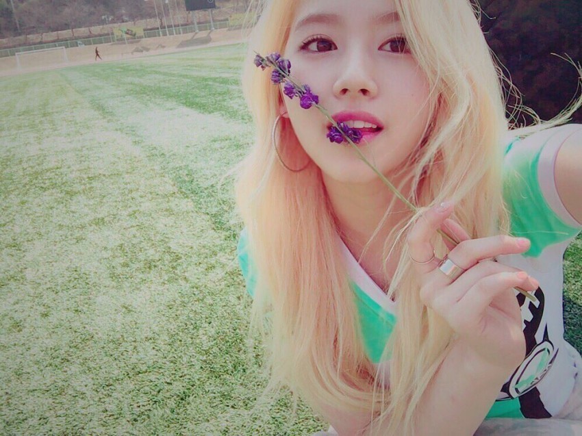 트와이스)NEW 꽃 사나짤 | 인스티즈