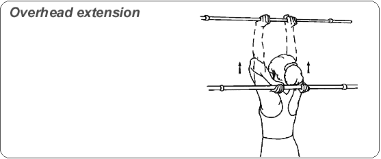 웨이트 시작하시는 분들에게 추천하는 운동과 동작을 이해하는 팁 | 인스티즈