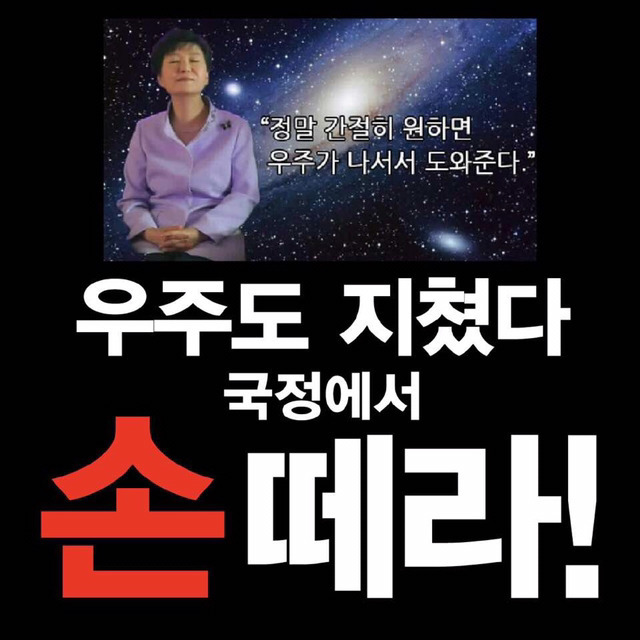 역시 전문가인 손혜원의원 클래스ㄷㄷㄷㄷ | 인스티즈