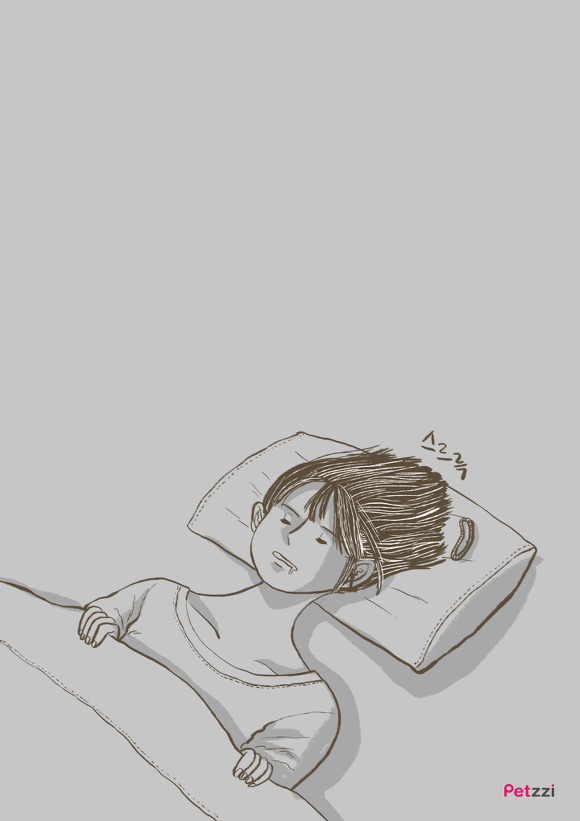 고양이 키우다 보면 느끼는 고양이의 소소한 취향.jpg | 인스티즈