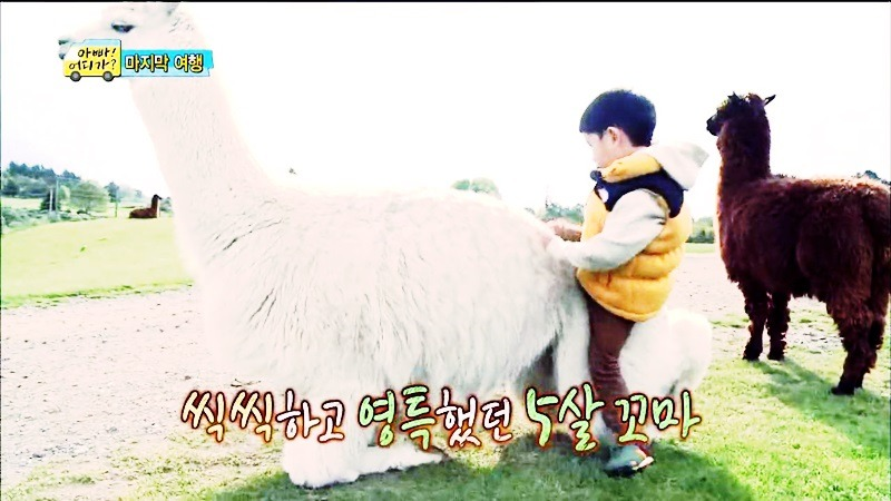  동화의 한 장면 같았던 아빠어디가 마지막회 민율이 | 인스티즈