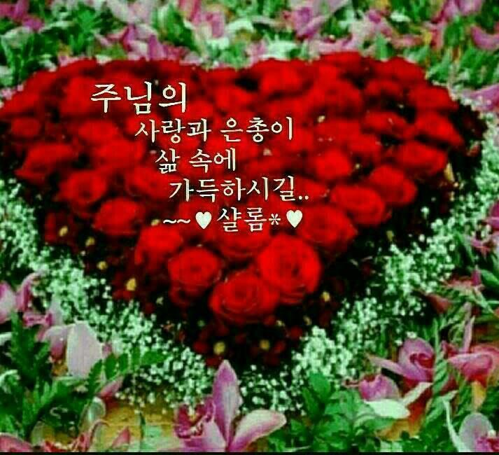 샬롬 이미지