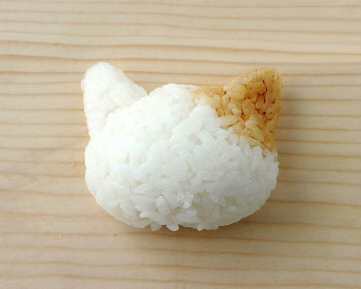 고양이 주먹밥 | 인스티즈