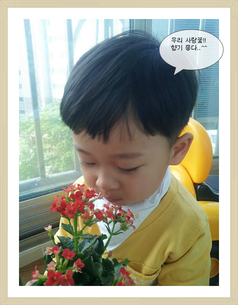 사랑꽃집 이미지