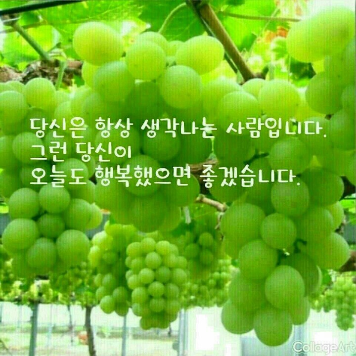 고*름 이미지