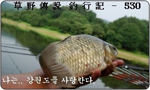 에스더블유(SW)마켓 이미지
