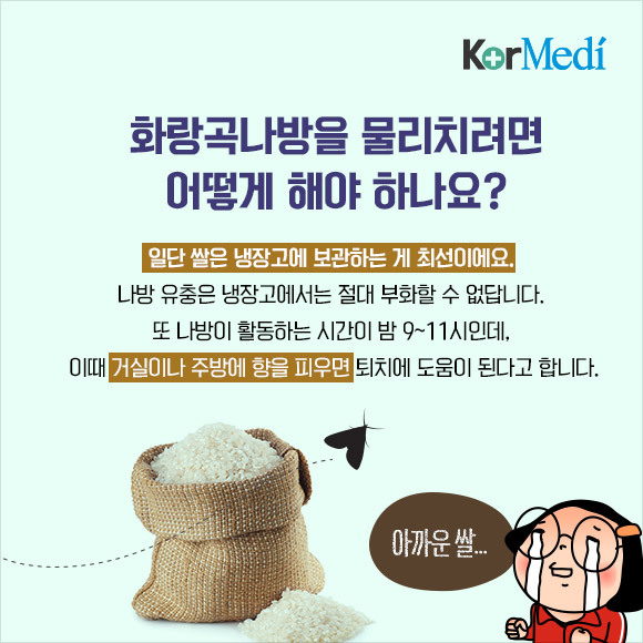 해충에 대한 오해와 진실(feat.바퀴)_약혐주의 | 인스티즈