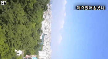 우리나라에 새로 들어온 놀이기구 | 인스티즈