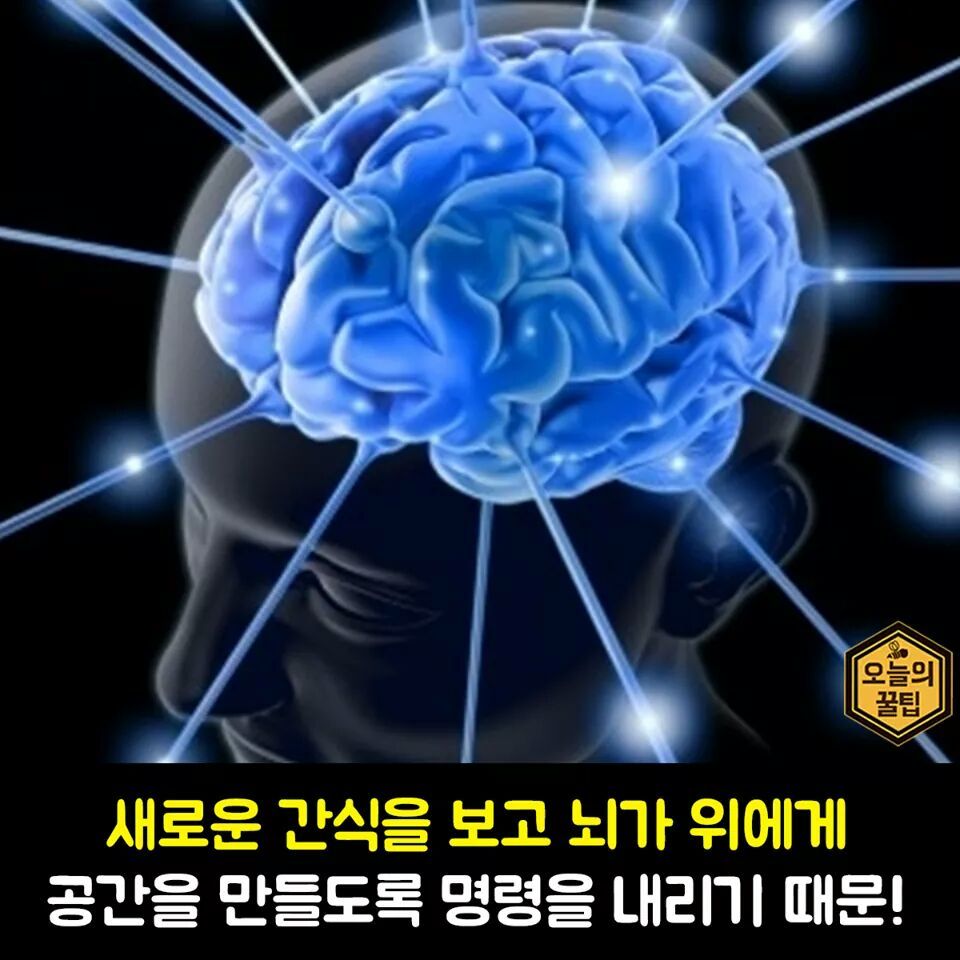 여자들이 밥먹고 또 간식을 먹는이유 | 인스티즈