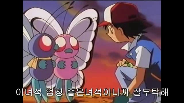포켓몬스터 무지하게 슬펐던 에피소드.jpg | 인스티즈