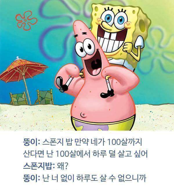 스폰지밥 과 뚱이의우정 | 인스티즈