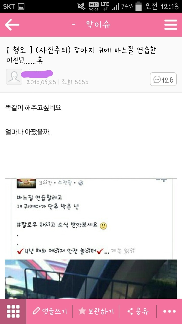 강아지 귀에 바느질 연습한 미 글의 진실 (사진 피,수술주의) | 인스티즈