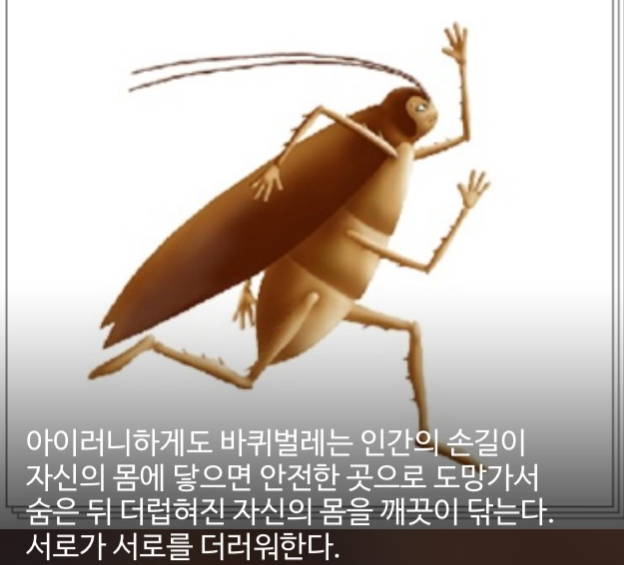 우리가 몰랐단 16가지 | 인스티즈